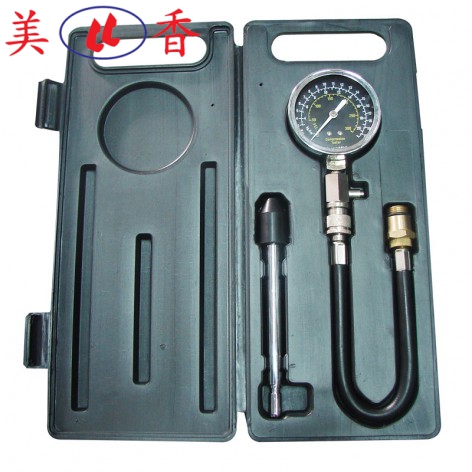 Đồng Hồ Đo Áp Suất Piston 300PSI LICOTA